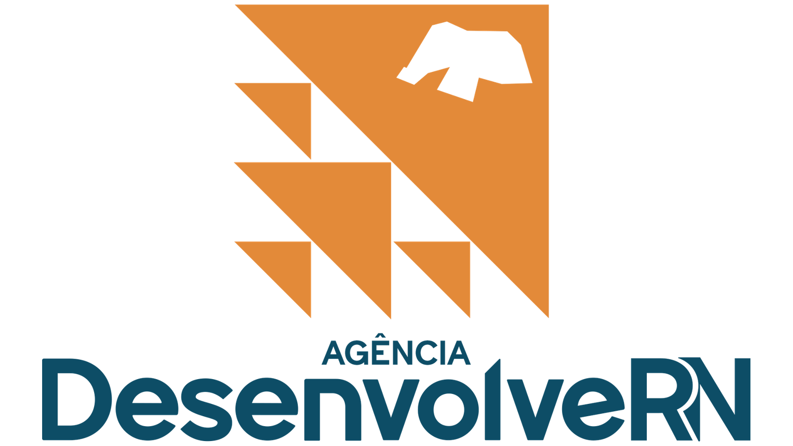 drn-logo4